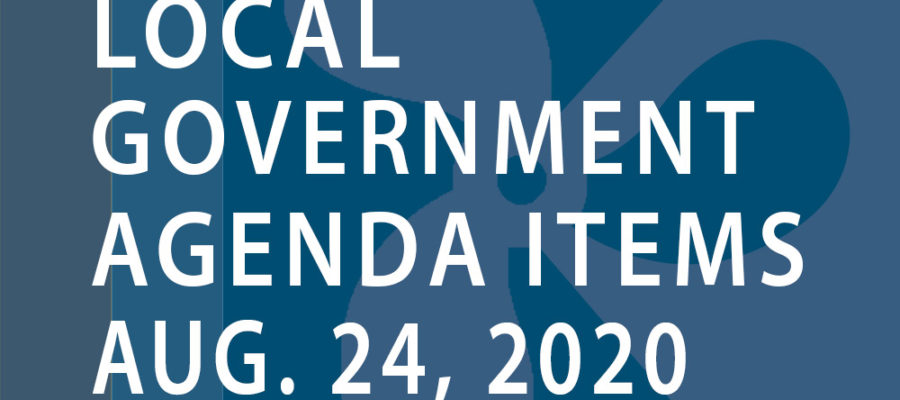 SWFMIA local government agenda items for the week of August 24, 2020